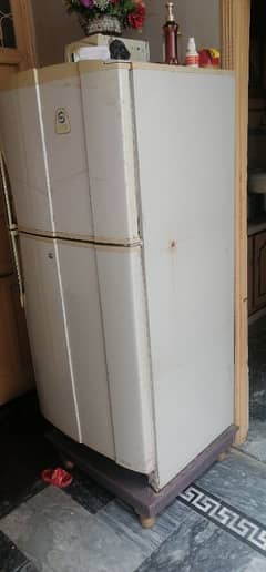 PEL