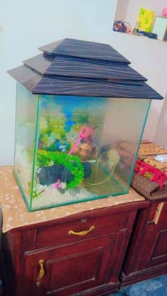 aquarium for sale