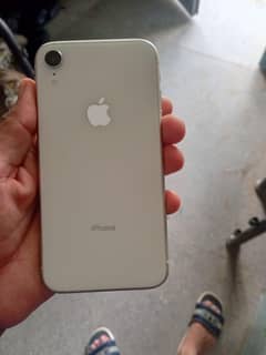 iphone xr 128 GB. pta approved
