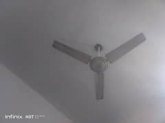 55"selling fan
