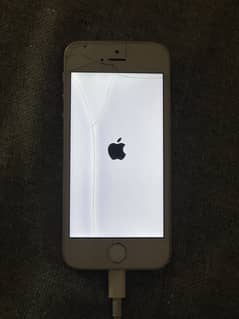 Apple iPhone 5s