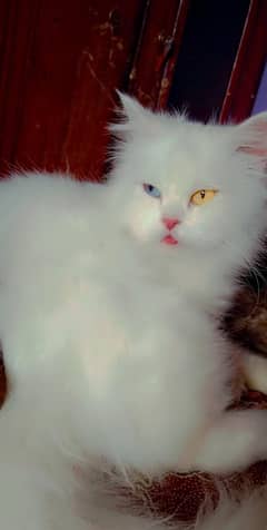 I