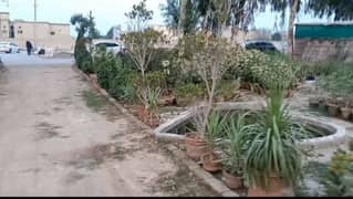 Nursery