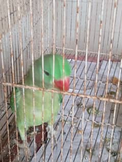 hantame