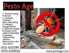 Termite control- Deemak- Dengue Spary,Fumgation & Pest control Servic