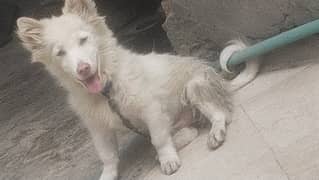 Russian male age 4 Month