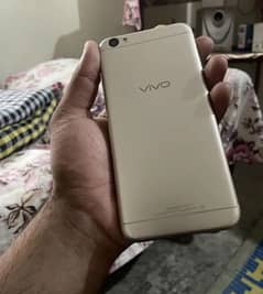VIVO