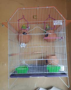 Birds