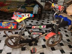 Baby Cycle