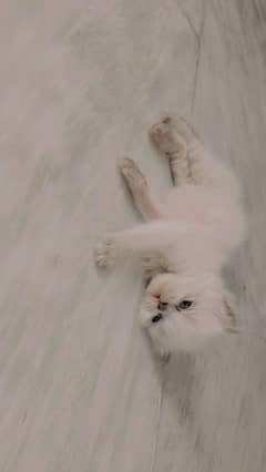 for