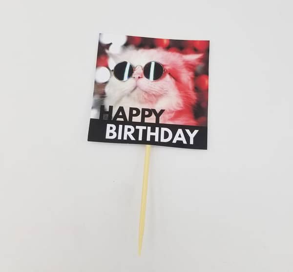 Pack of 10 Happy Birthday Cat Cupcake Toppers for Celebrations