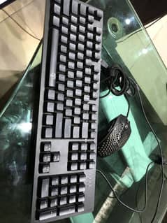 Mechanical keyboard and Mouse
