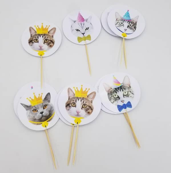 Pack of 10 Cat Theme Cupcake Toppers - 3.2 Inches