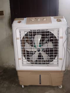 Golden room cooler