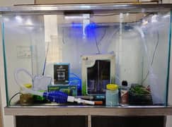Aquarium Setup Complete