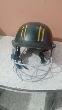 Cricket