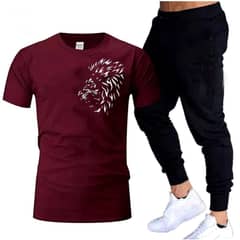 2 Pcs Men's Cotton Jersy Printed Track Suit.