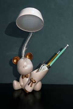 2 in 1 imported led lamp rechargeable