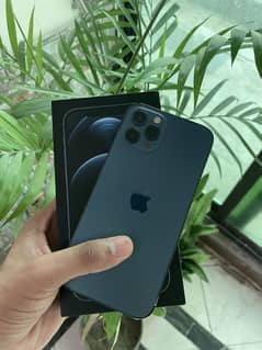 Iphone 12 pro pta approved