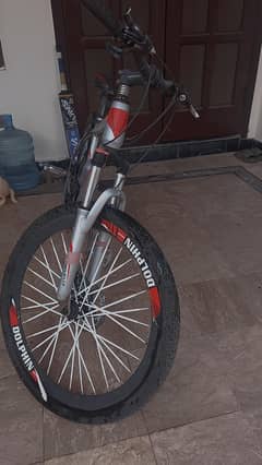 DOLPHIN RIVER CYCLE IN GOOD WORKING CONDITION