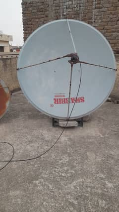 6 Fit Solid SHABBIR A Quality Dish