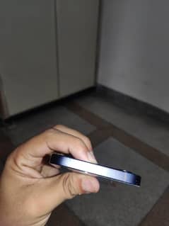 iphone 12 dual pta