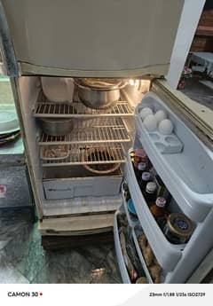 pEL Refrigerator
