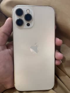 Iphone12promax