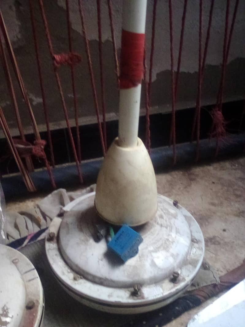 3 fan(2 taimoor working)1 suffi(Current issue)/03053991673/whatsup 2