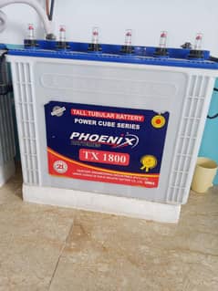 Phoenix