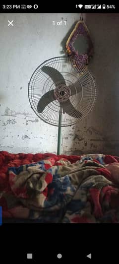 10000fainal 03075393195 only call
