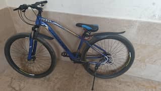 champion bicycle