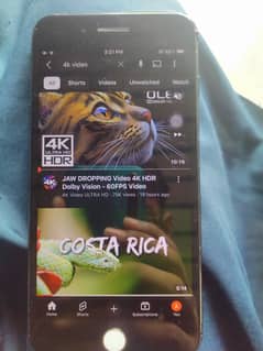 iPhone 7 plus bypass working with YouTube