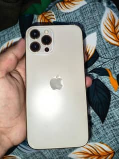 12 pro max