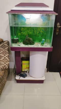 Aquarium With Wood Stand