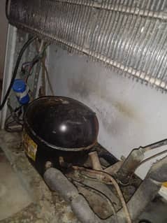 Refrigerator used