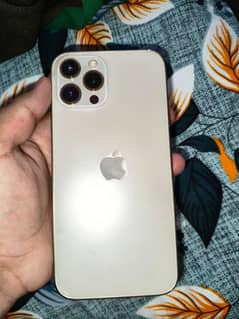 12 pro max