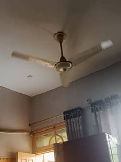 220V AC ceiling Fans for sale
