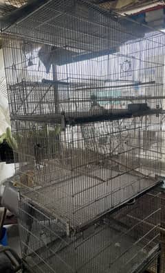 Cages for Parrots
