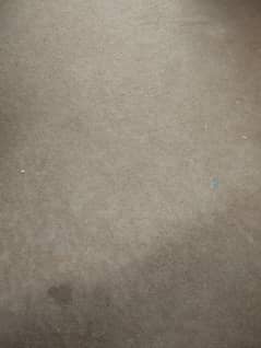 New carpet