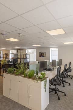 Dampa ceiling/ceiling/gypsum ceiling/false ceiling/drywall