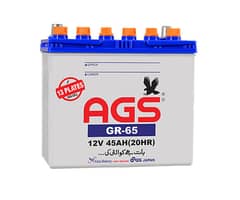 AGS battery 12V 45AH(20HR)