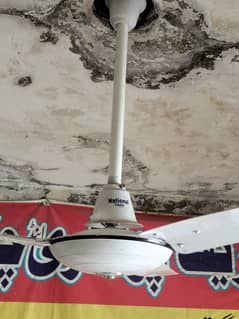 argant for sale