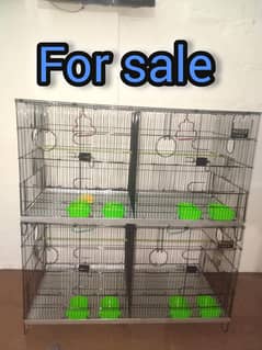 birds setup for sale