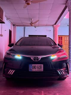 gli