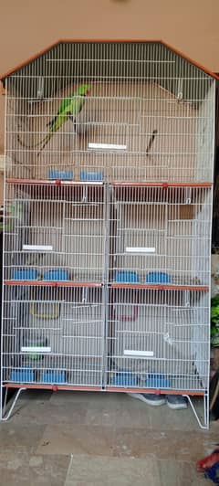 Parrot cage. . .