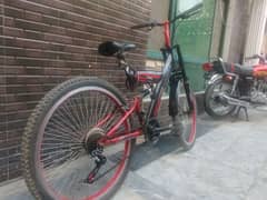 cycle for teenagers.