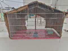 birds cages sale