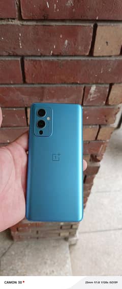 oneplus