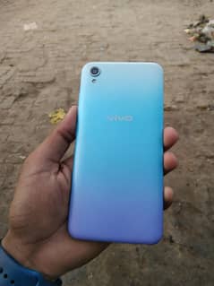 vivo